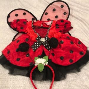 Used 3 year toddler ladybug costume.